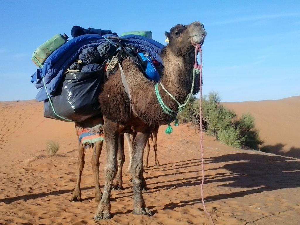 Hotel Bivouac Erg Znaigui Merzouga Exteriér fotografie