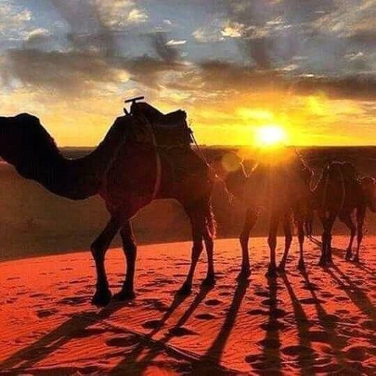 Hotel Bivouac Erg Znaigui Merzouga Exteriér fotografie